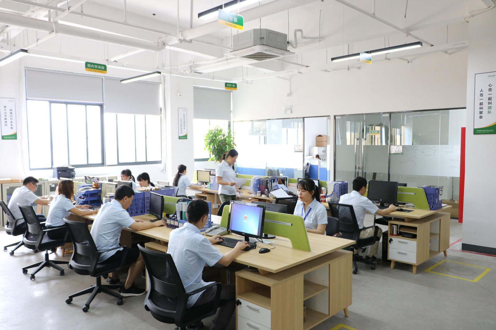 Office team working on company and order coordination